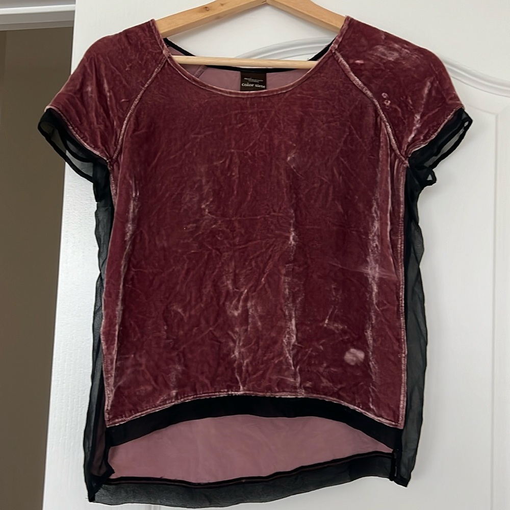 ⭐️$10 TEN Dollars Vervet blouse